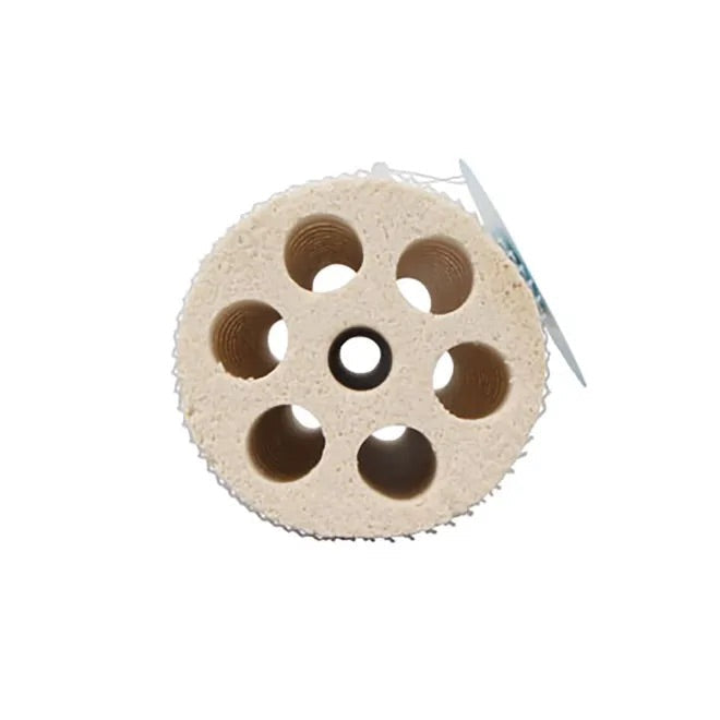 Top-down cross-section of lotus root bacteria house rod
